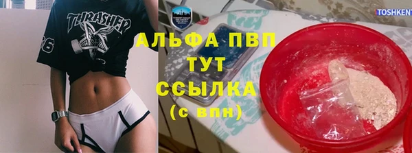 стаф Абинск