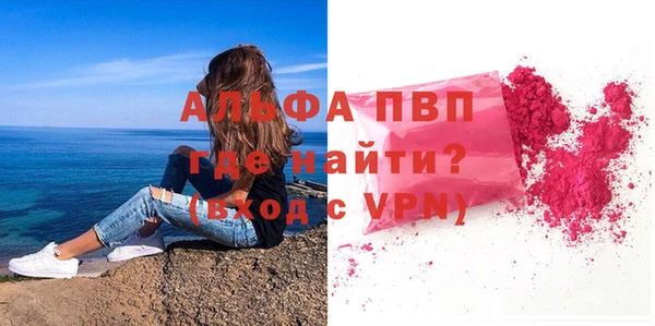стаф Абинск