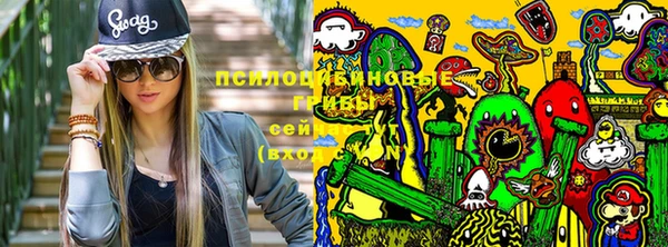 не бодяженный Алзамай