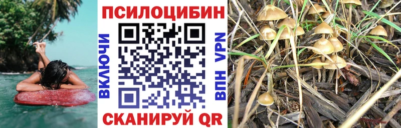 Псилоцибиновые грибы мухоморы  наркошоп  Темников 
